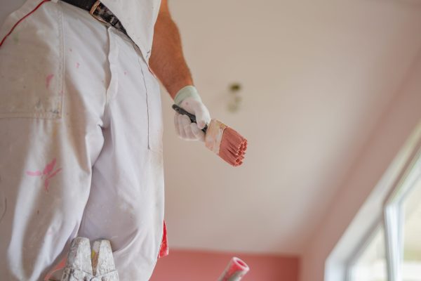 closeup-shot-of-a-handyman-holding-a-pink-paintbru-2024-12-01-14-20-38-utc